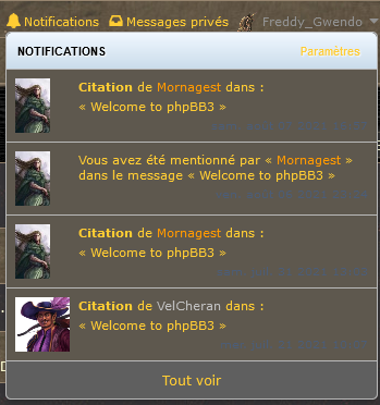 Screenshot 2021-08-07 at 17-05-13 Welcome to phpBB3 - Page 3 - Couronne de Test.png